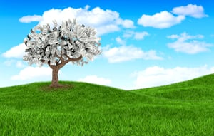 3D money growing on a tree on beautiful landscape