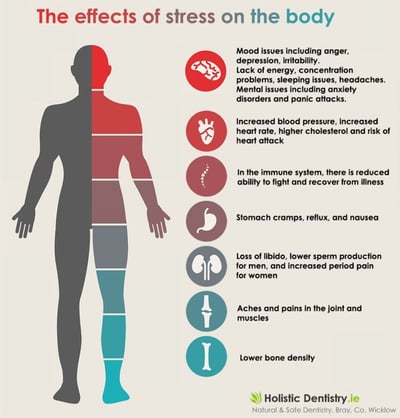 Effects of Stress on the Body