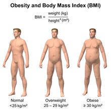 Body Mass Index Diagram